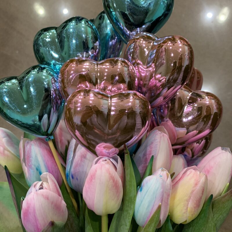 Szivárvány tulipán