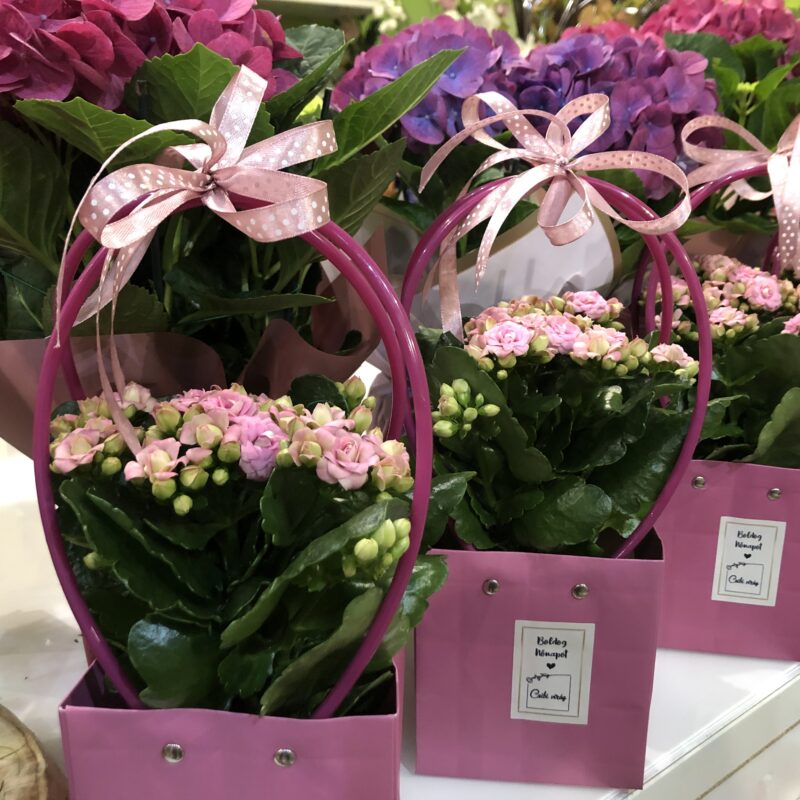 Korallvirág dekor táskában