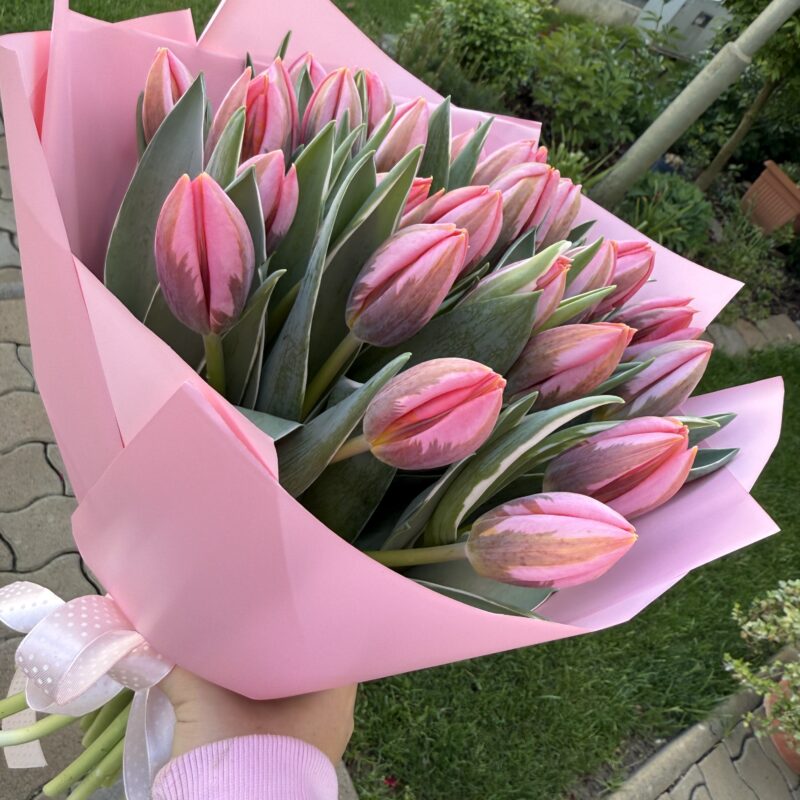 Tulipán csokor (25 szálas)